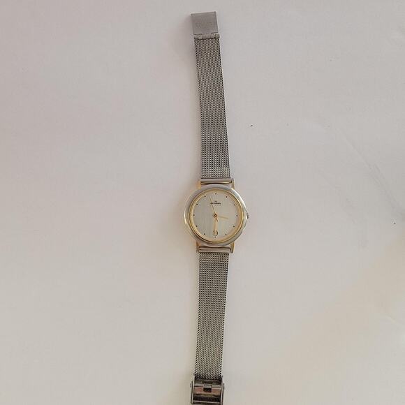 Skagen Womens Watch Silver Dial Gold Case Silver Mesh Bracelet Date 165GS main image 8